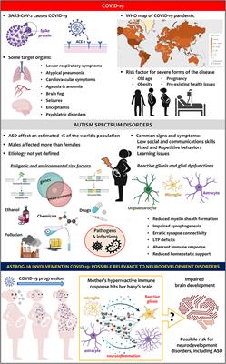 Systemic Inflammation and Astrocyte Reactivity in the Neuropsychiatric Sequelae of COVID-19: Focus on Autism Spectrum Disorders